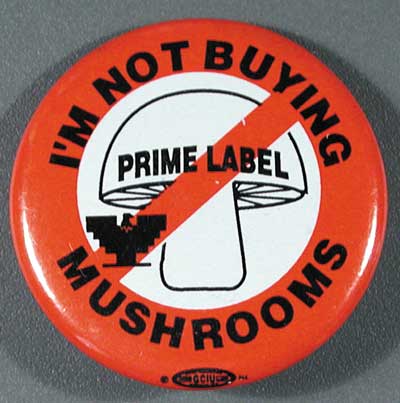 1.6 I’m not buying mush