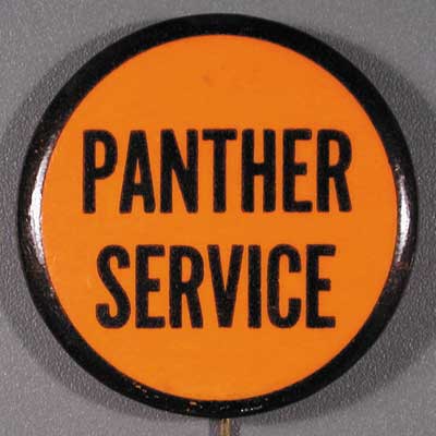 1.6 Panther service