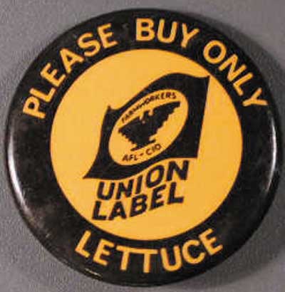 1.6 Please buy only lettuce