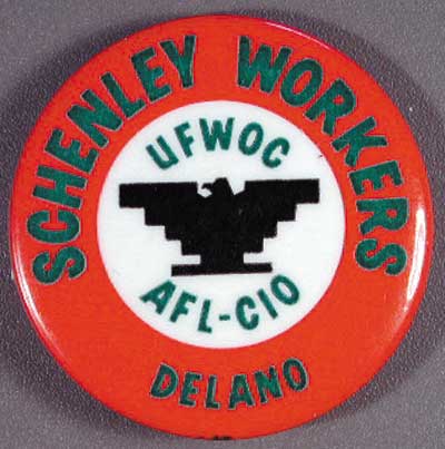 1.6-UFW-schenelly-workers-gjSoMW.jpg