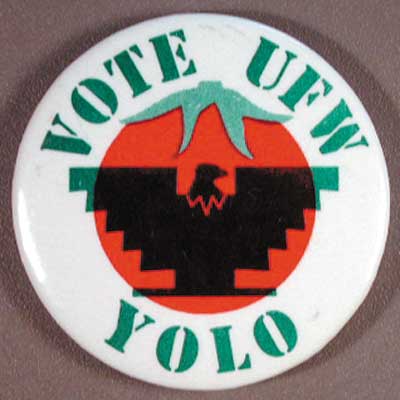 1.6-vote-ufw-yolo-1PiBnr.jpg