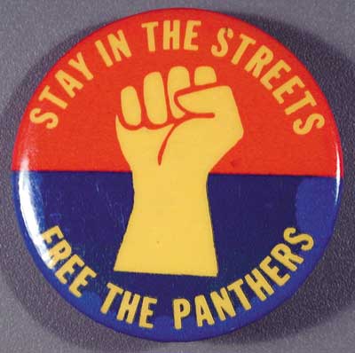 Stay in the Streets_Free the Panthers