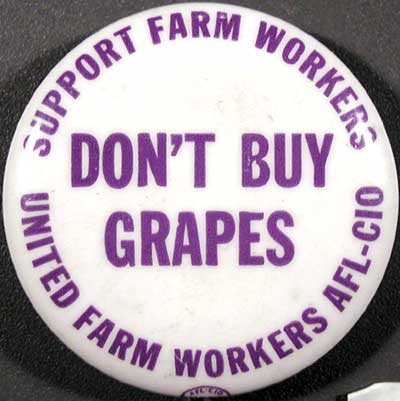 15 DON’T BUY GRAPES