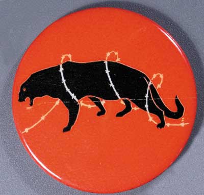 2.25 tied up panther