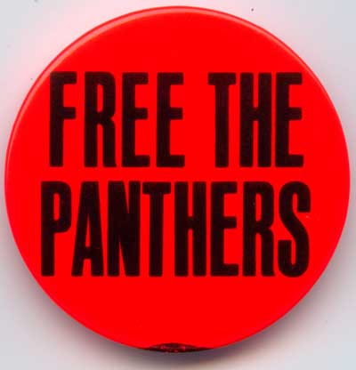 Free The Panthers orange