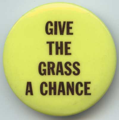 Give the Grass A Chance