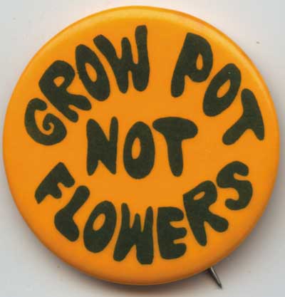 Grow Pot Not Flowers