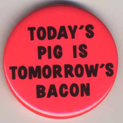 Today’s Pig Is Tomorrow’s Bacon