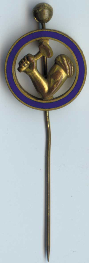 arm with hammer pin