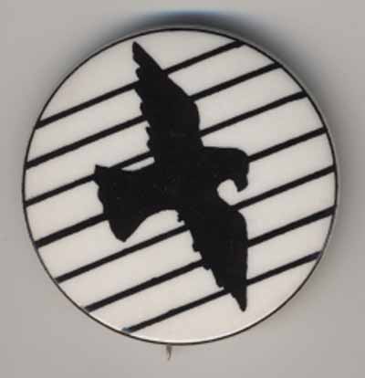 black bird on BW stripes