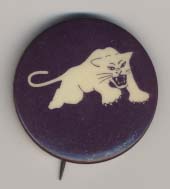 charging white panther_15