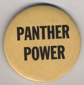 Panther Power (yellow)