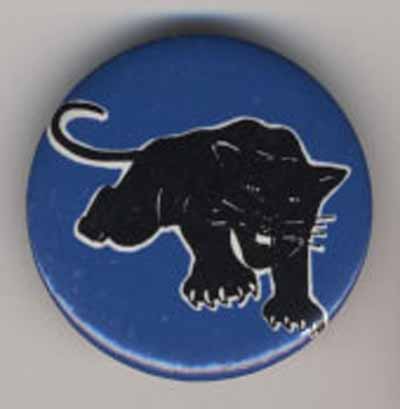 charging black panther on blue background (no text)