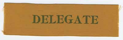 Delegate ribbon