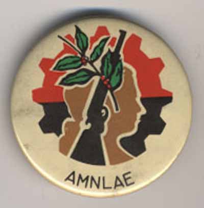 AMNLAE