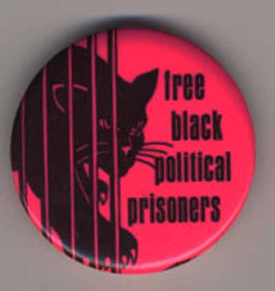 Free Black Political Prisoners_hot pink