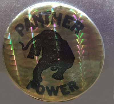 Panther Power