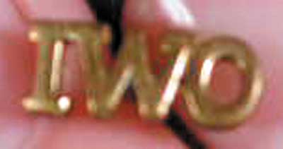 0.5 IWO gold letters