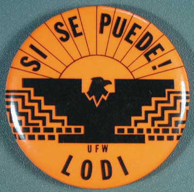 1.6 farmworkers lodi