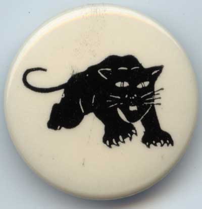 panther on white