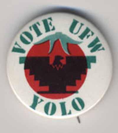 Vote UFW Yolo