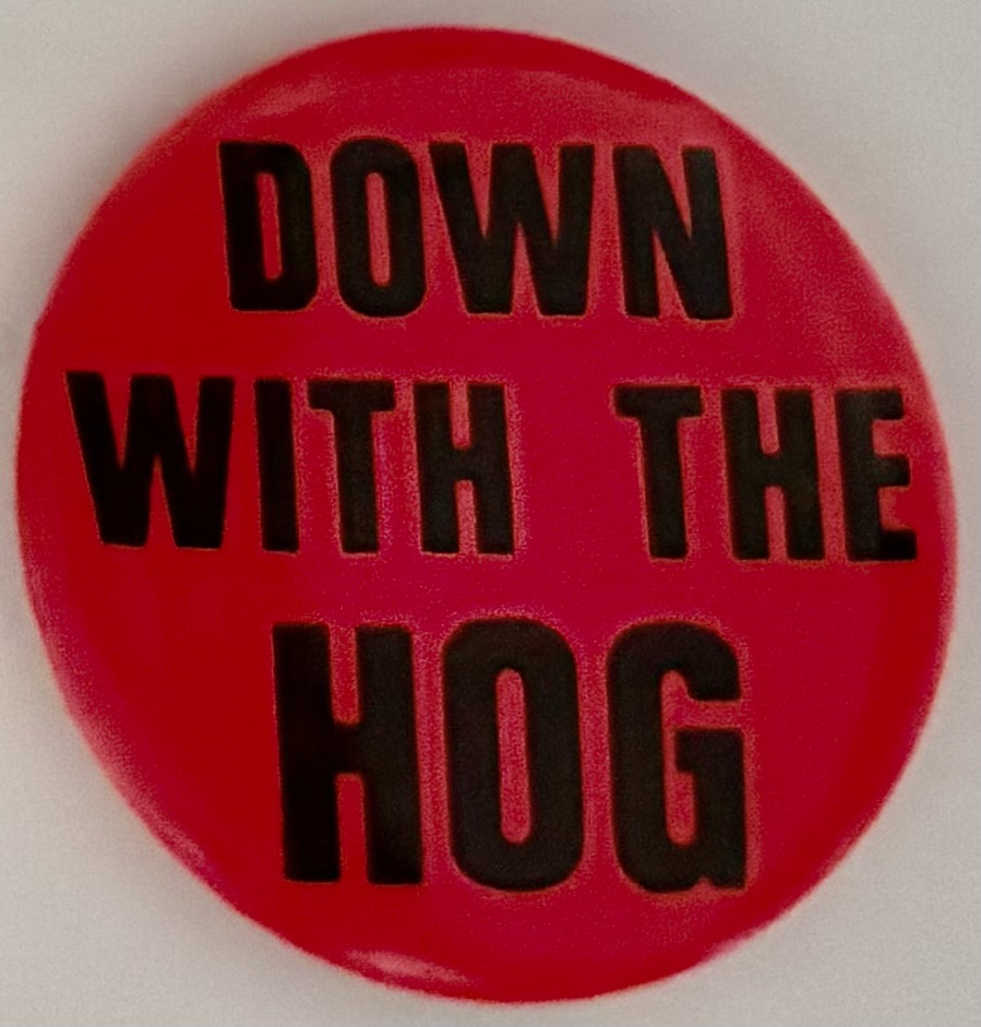 Down With the Hog