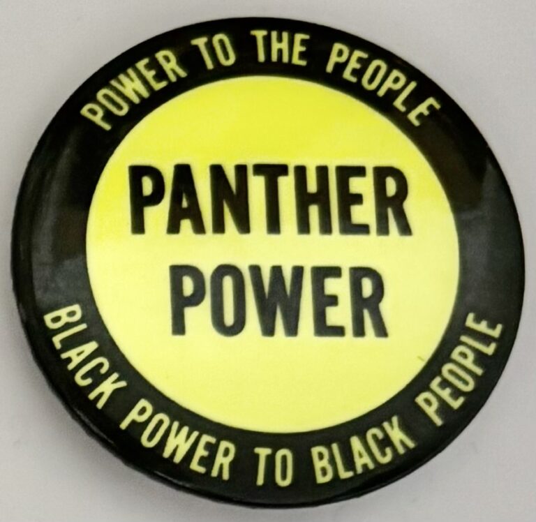 Power to the People Panther Power Black Power to Black People
