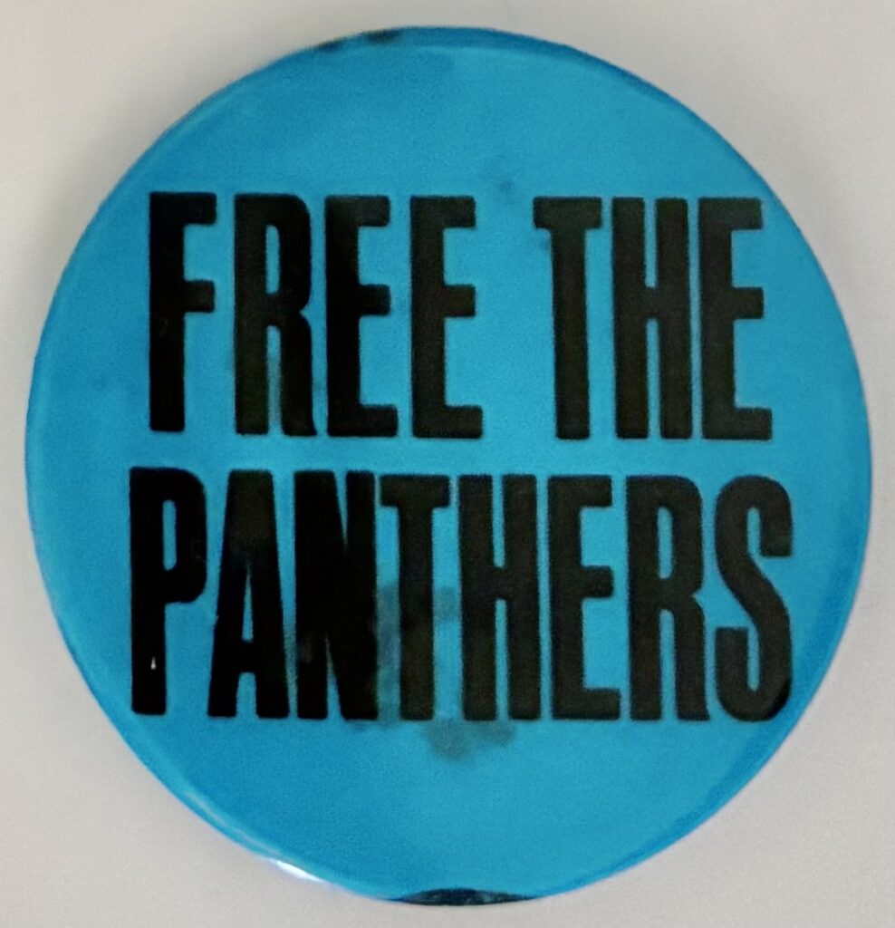 Free the Panthers (1)