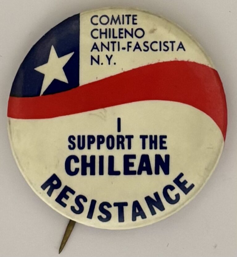 I Support the Chilean Resistance