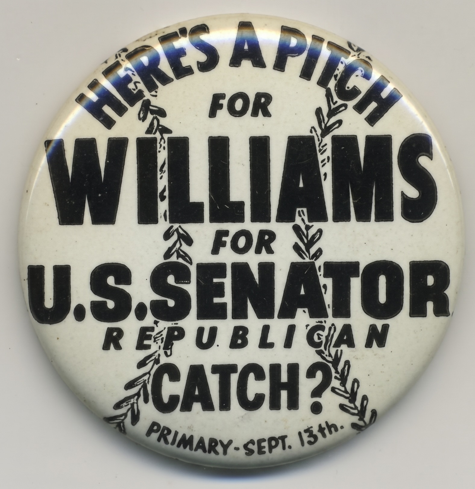Here’s a Pitch For Williams U.S. Senator Republican Catch?