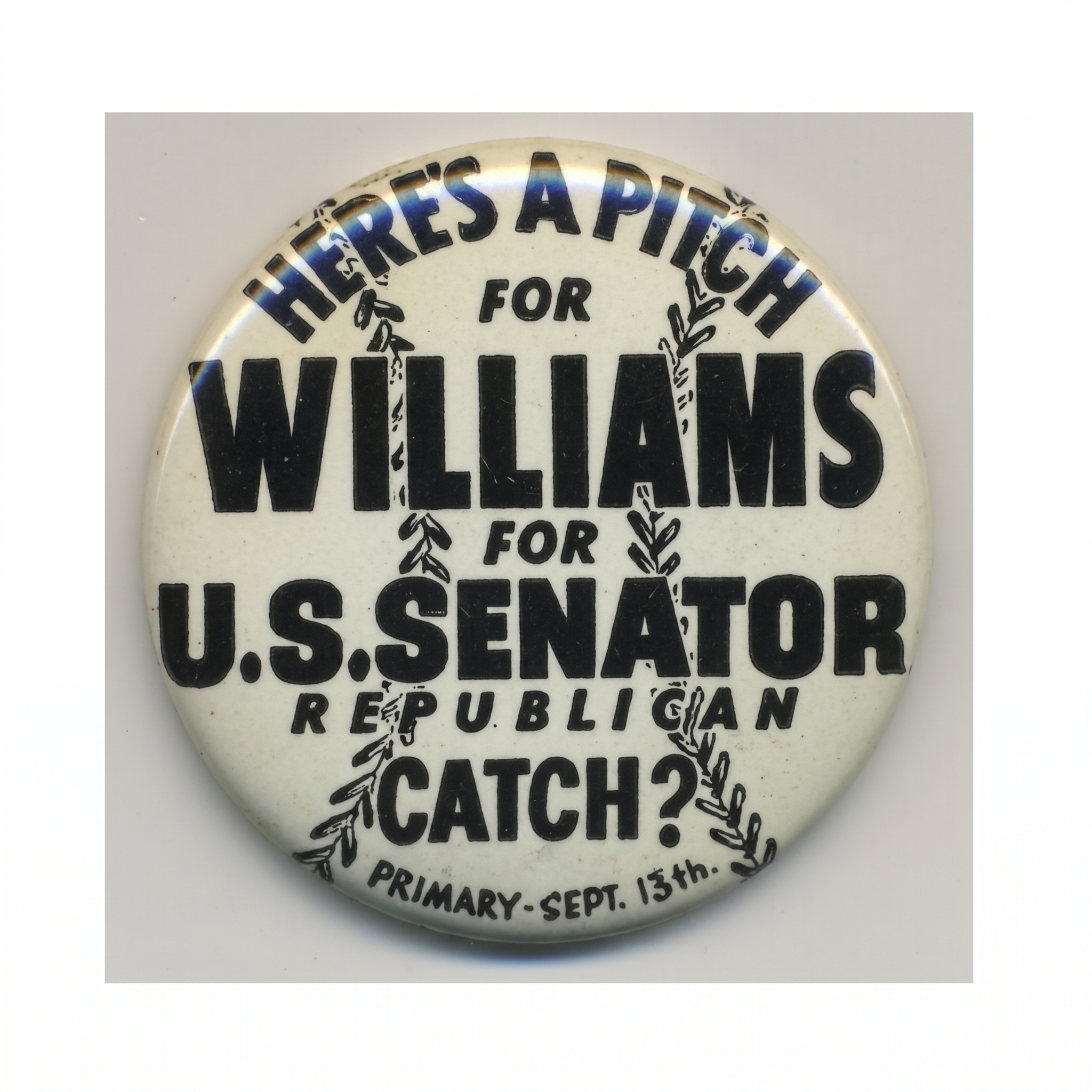 Here’s a Pitch For Williams U.S. Senator Republican Catch?