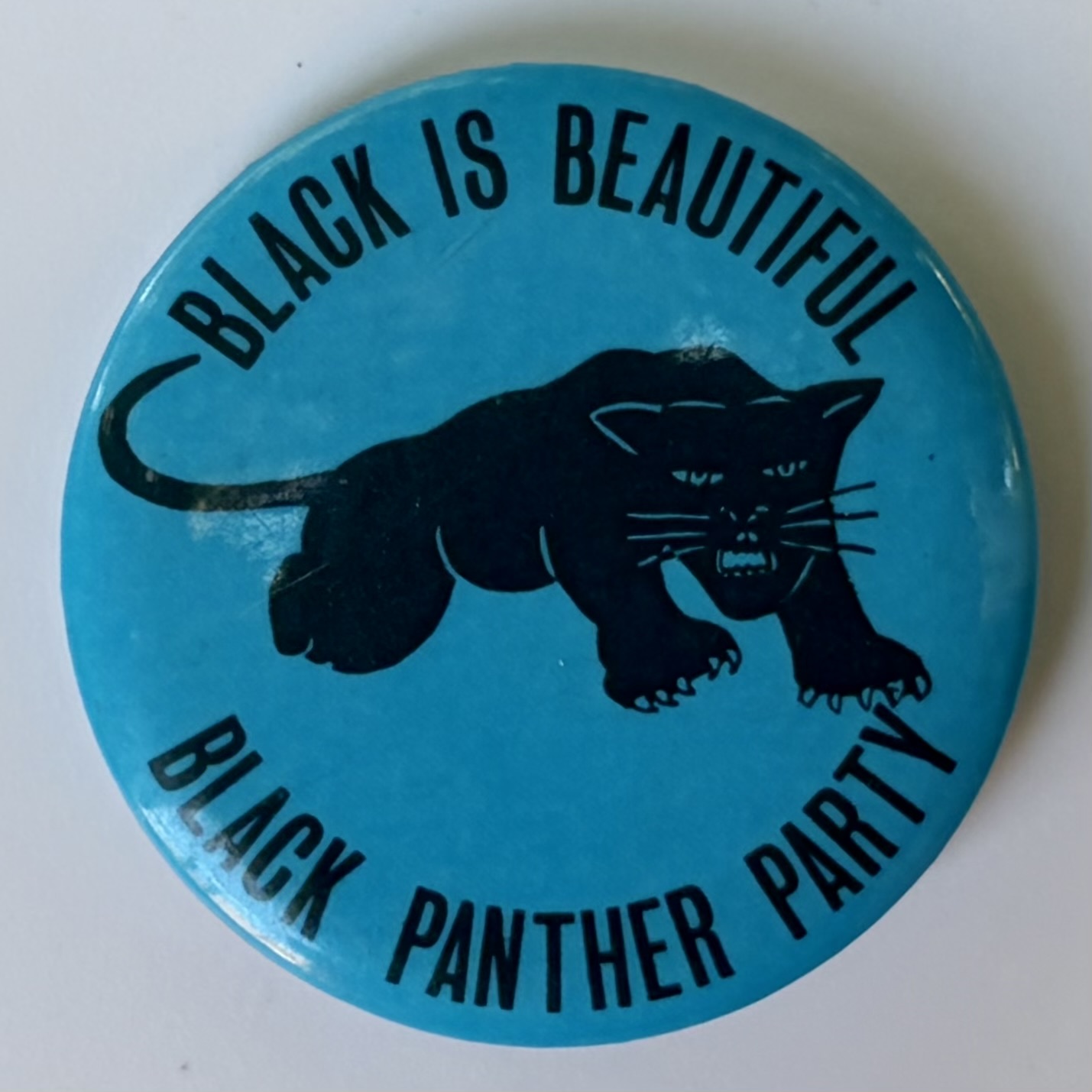 Black Is Beautiful Black Panther Party
